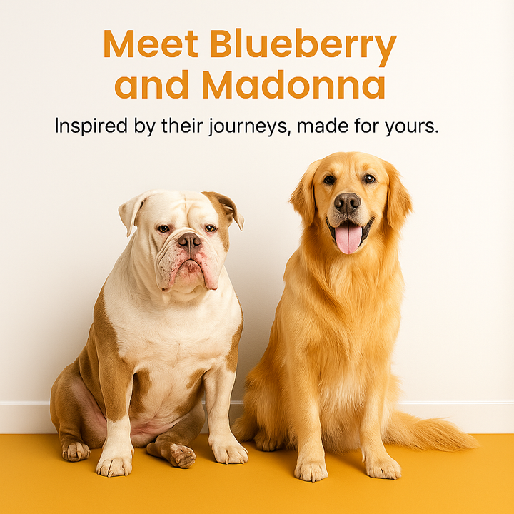 Maddie & Berry Stress-Free Travel Bundle