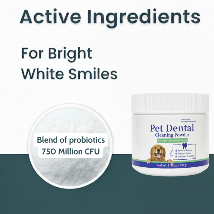 FRESHPRO® Dental Powder